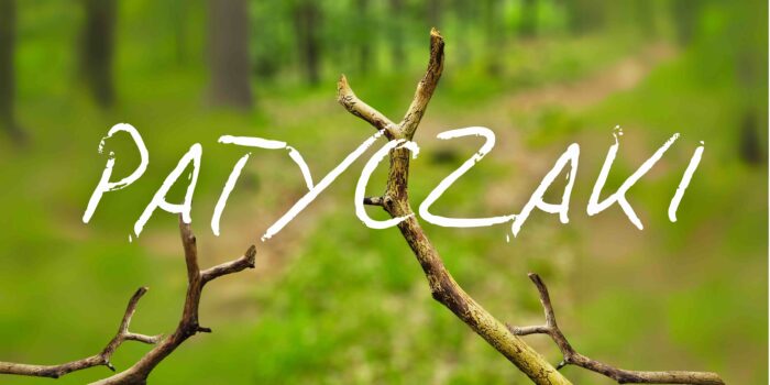 Bilet na spektakl 31/08/2025 godz. 11:30